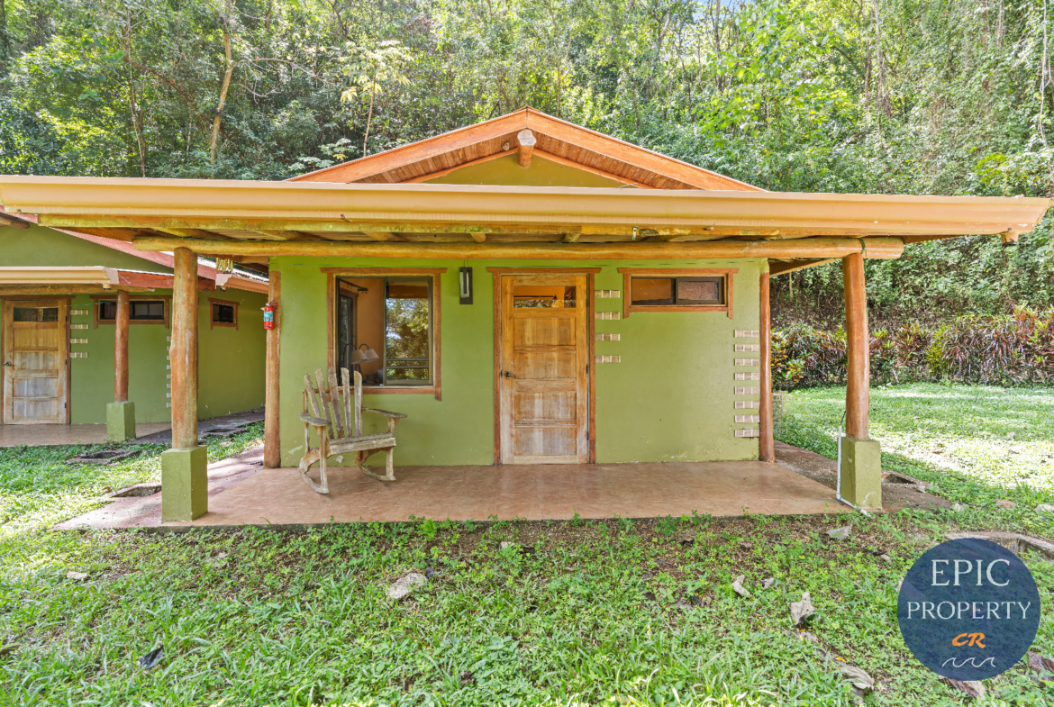 Serene Yoga Retreat - 12