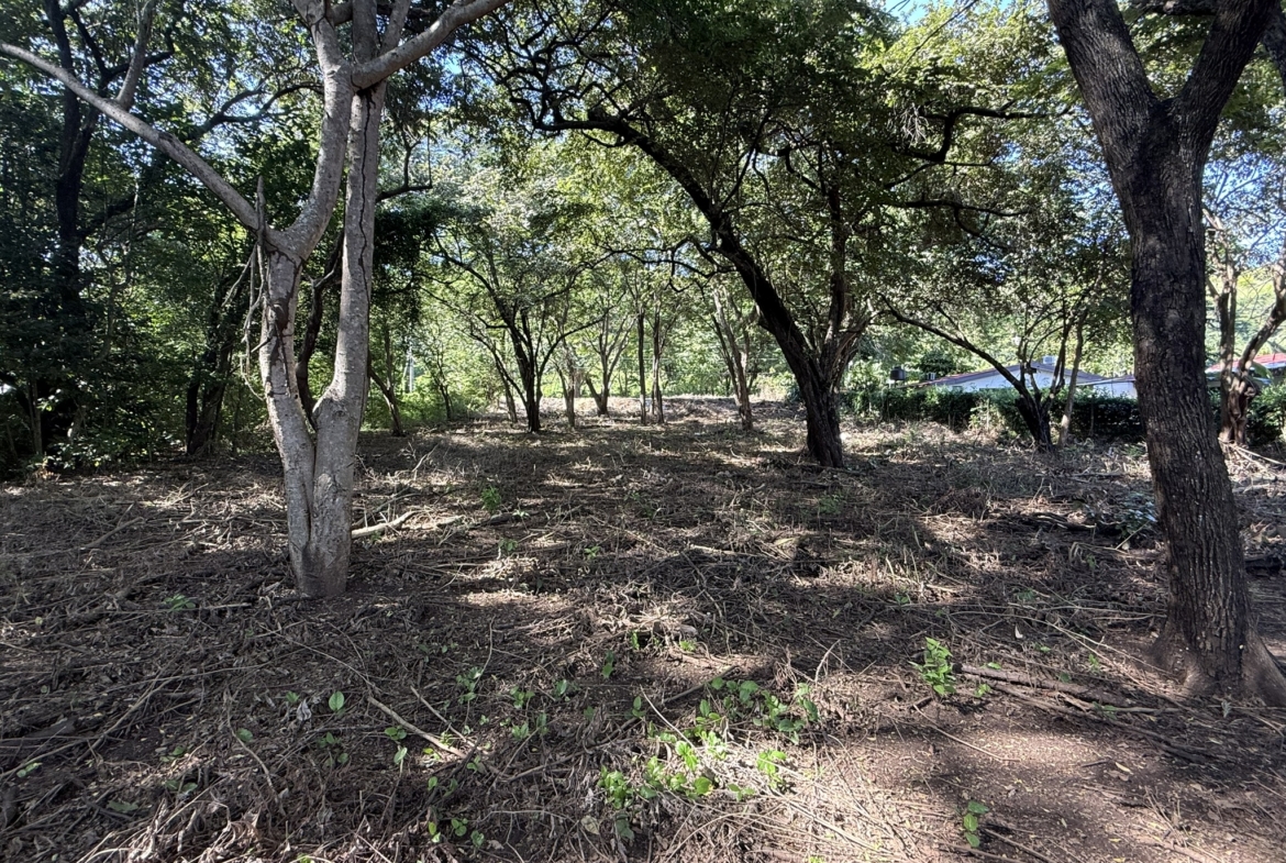 Ocotal Lot 1500 m2 - 5