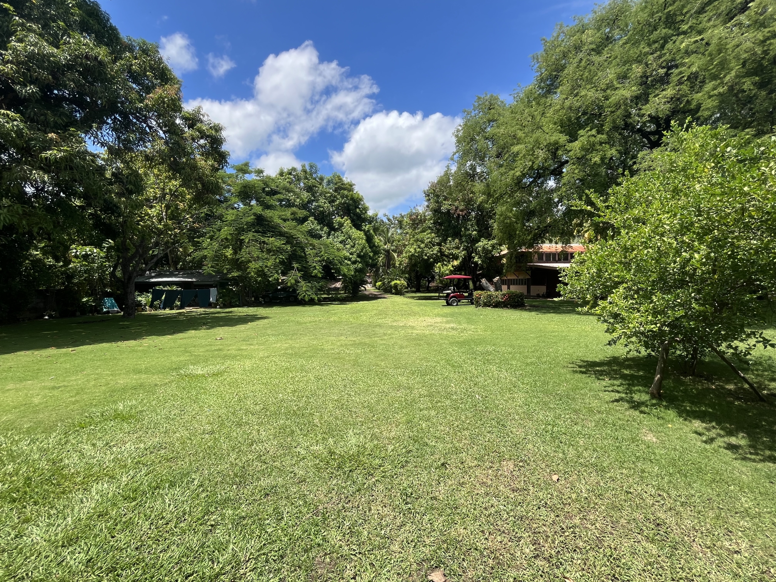 Coco Beach front Gem - 16