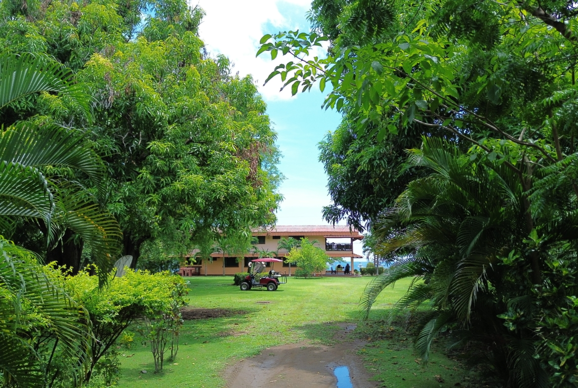 Coco Beach front Gem - 15