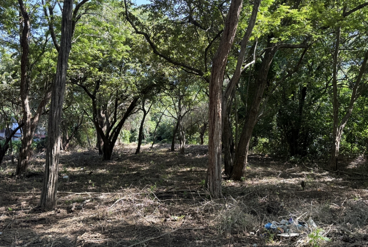 Ocotal Lot 1500 m2 - 8