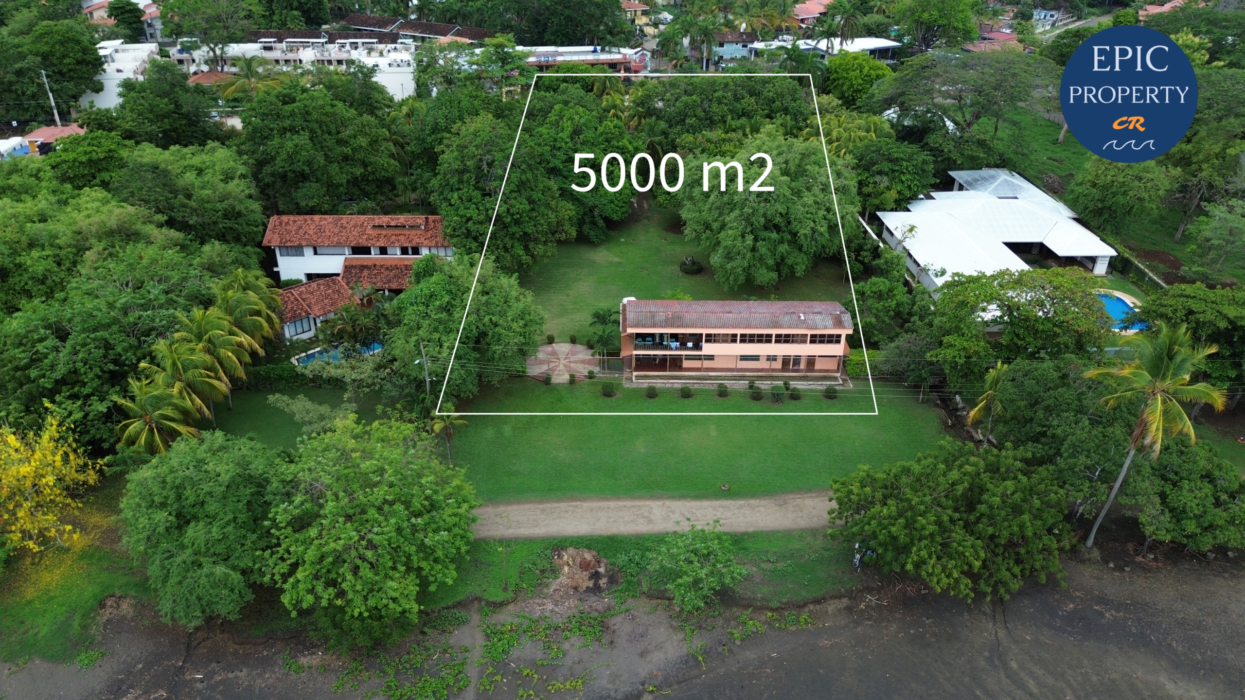 Coco Beach front Gem - 14
