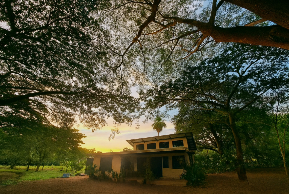 Charming Tamarindo Home - 12