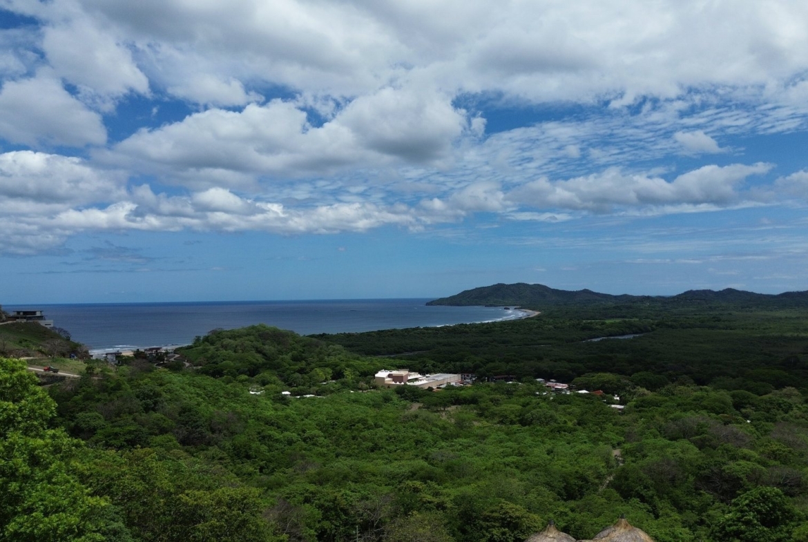 Tamarindo 5 Hectare Lot - 10