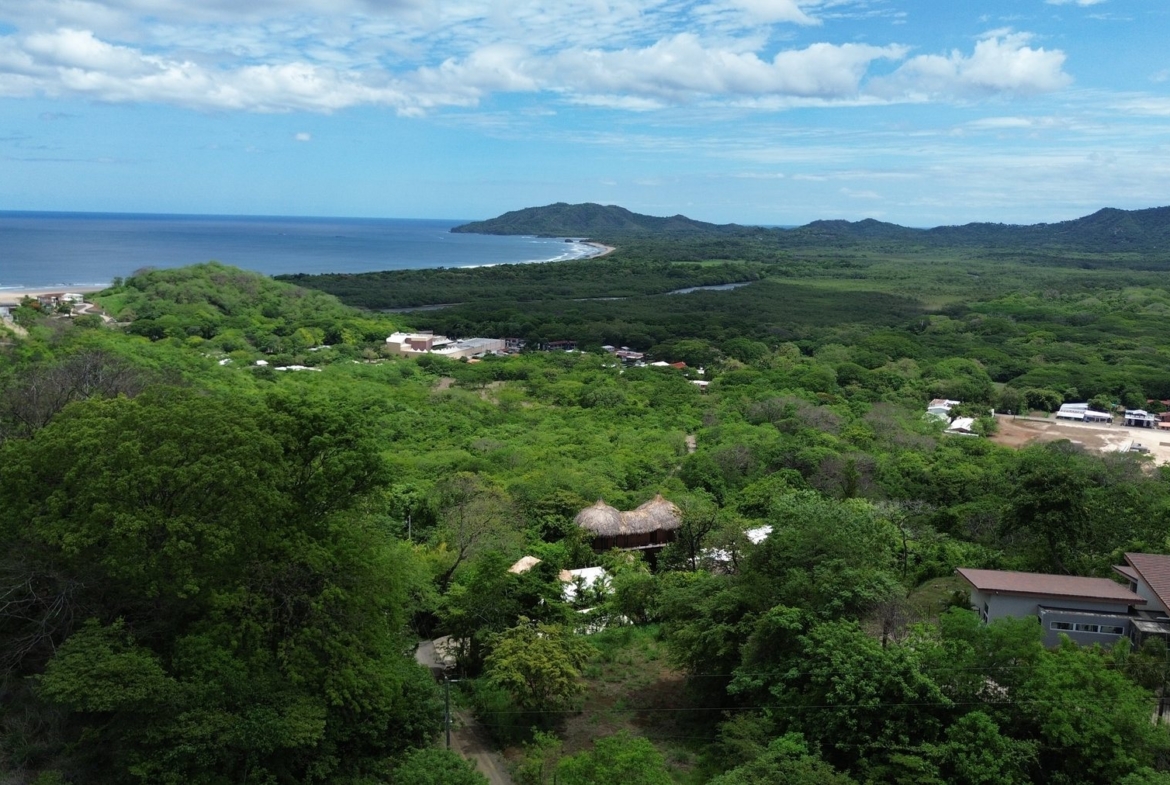 Tamarindo 5 Hectare Lot - 5