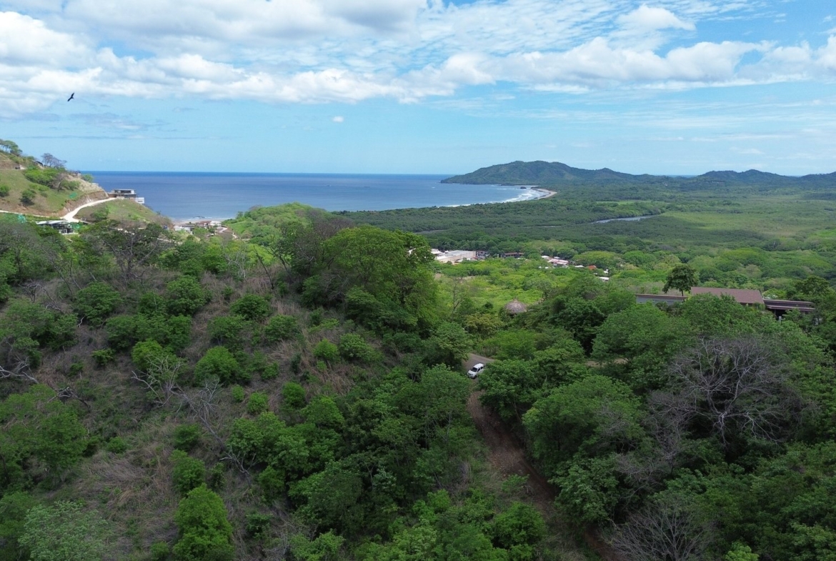 Tamarindo 5 Hectare Lot - 18
