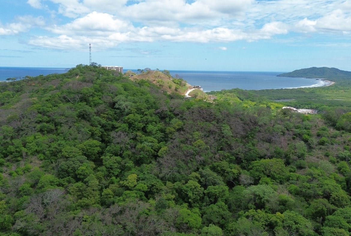 Tamarindo 5 Hectare Lot - 6
