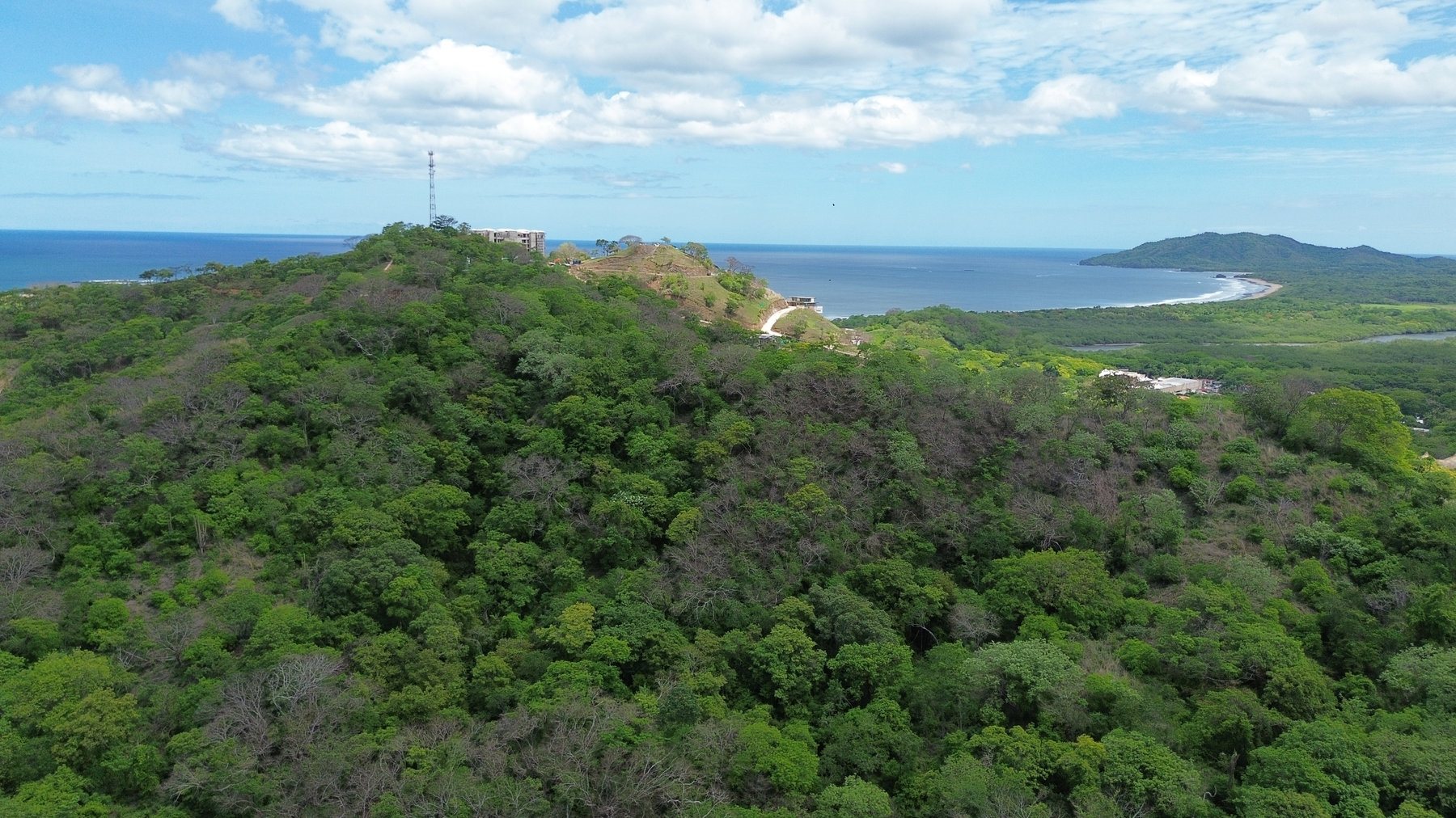 Tamarindo 5 Hectare Lot - 6