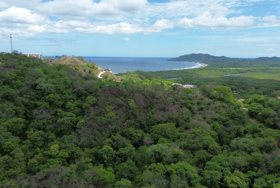 Tamarindo 5 Hectare Lot - 17