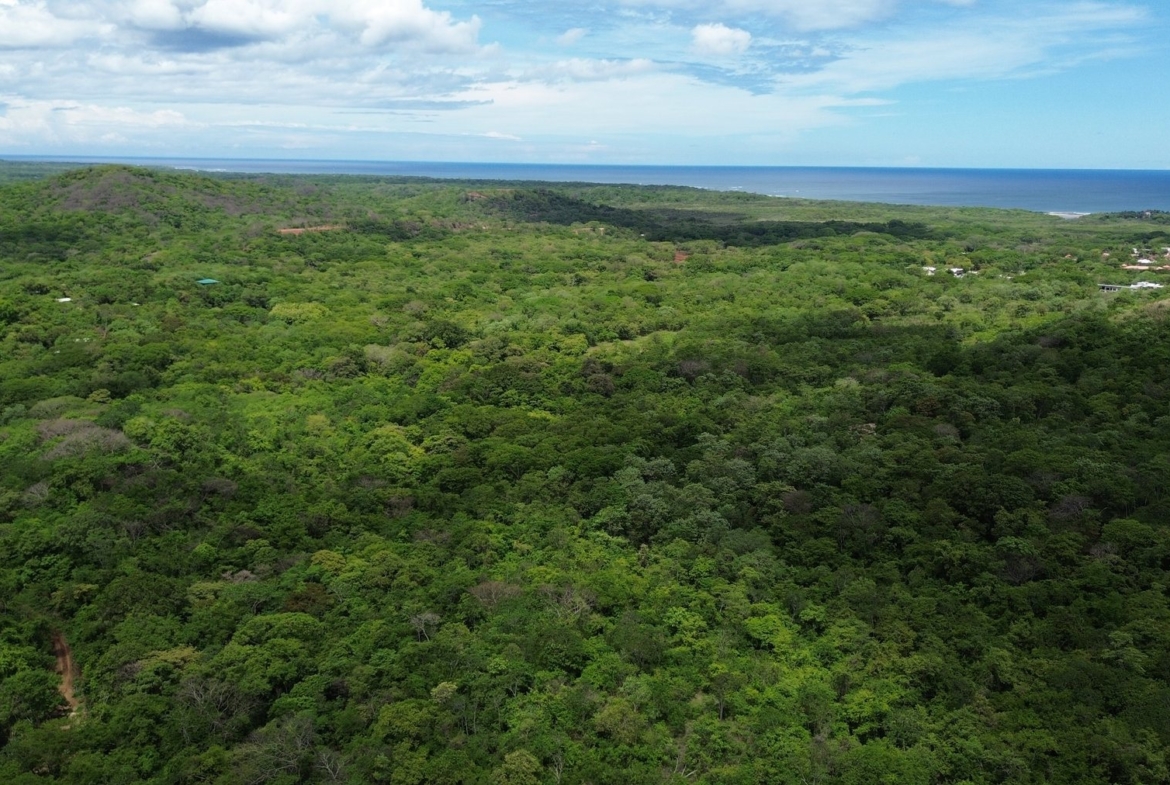 Tamarindo 5 Hectare Lot - 16
