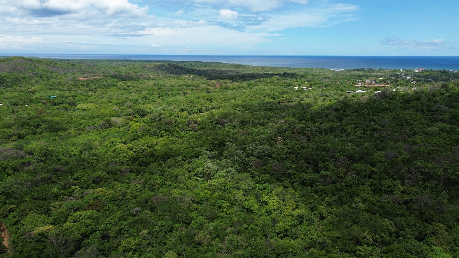 Tamarindo 5 Hectare Lot - 9