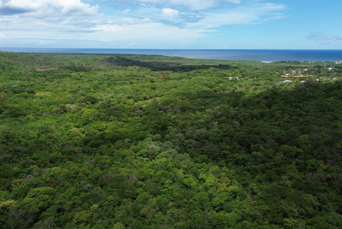 Tamarindo 5 Hectare Lot - 2
