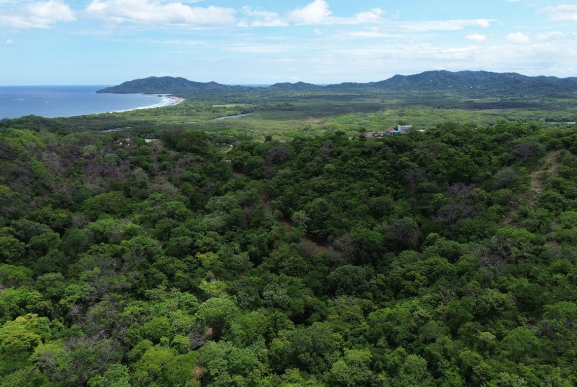 Tamarindo 5 Hectare Lot - 8