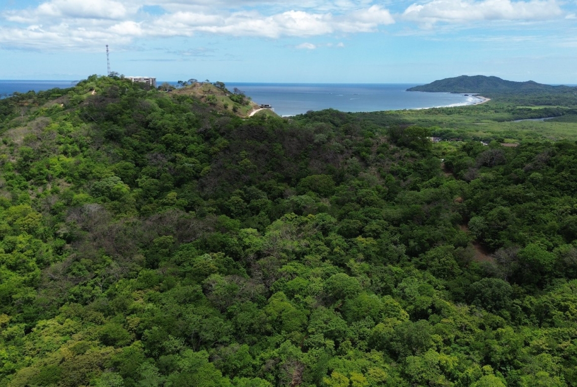 Tamarindo 5 Hectare Lot - 7