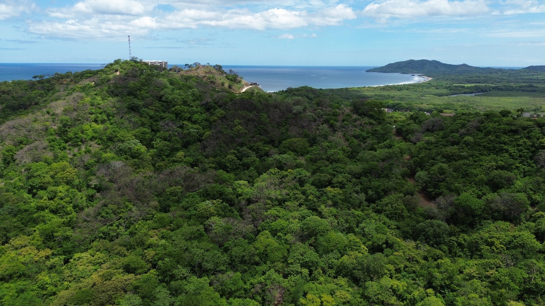 Tamarindo 5 Hectare Lot - 7