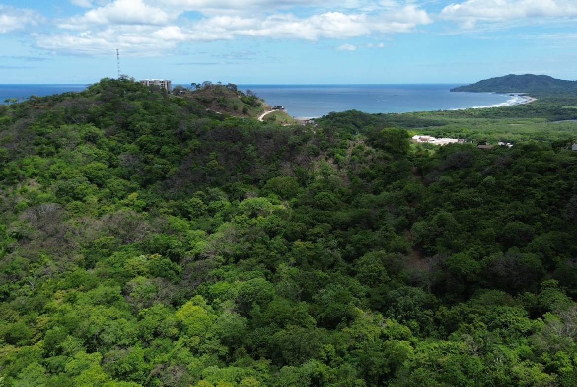 Tamarindo 5 Hectare Lot - 13