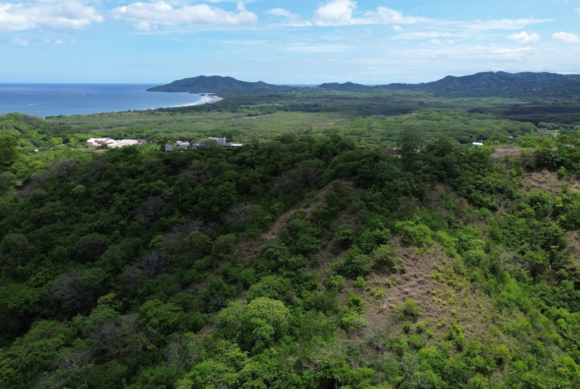 Tamarindo 5 Hectare Lot - 14