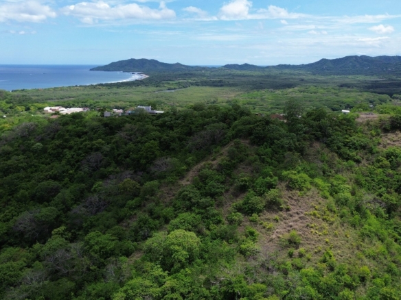 Tamarindo 5 Hectare Lot - 1