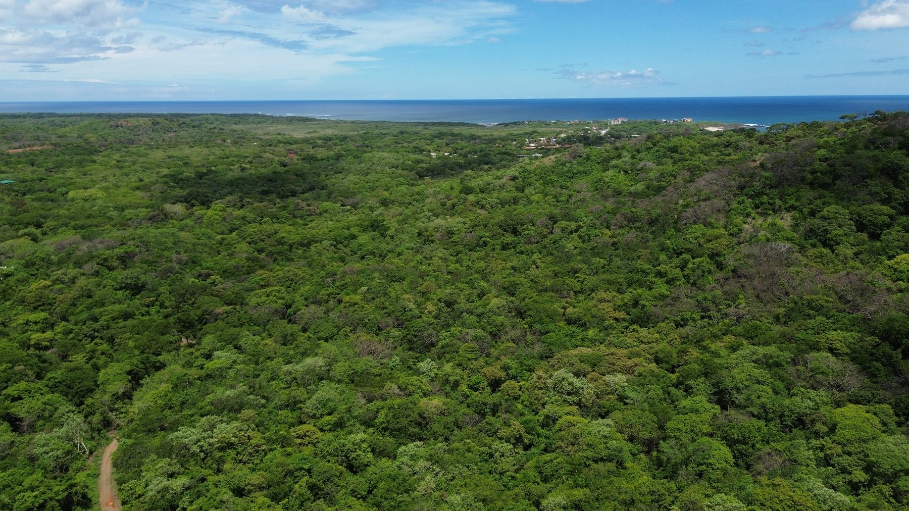 Tamarindo 5 Hectare Lot - 15