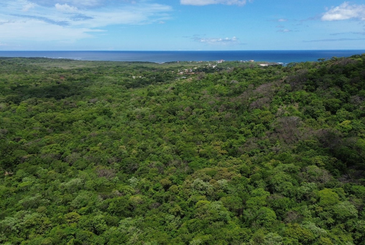 Tamarindo 5 Hectare Lot - 12