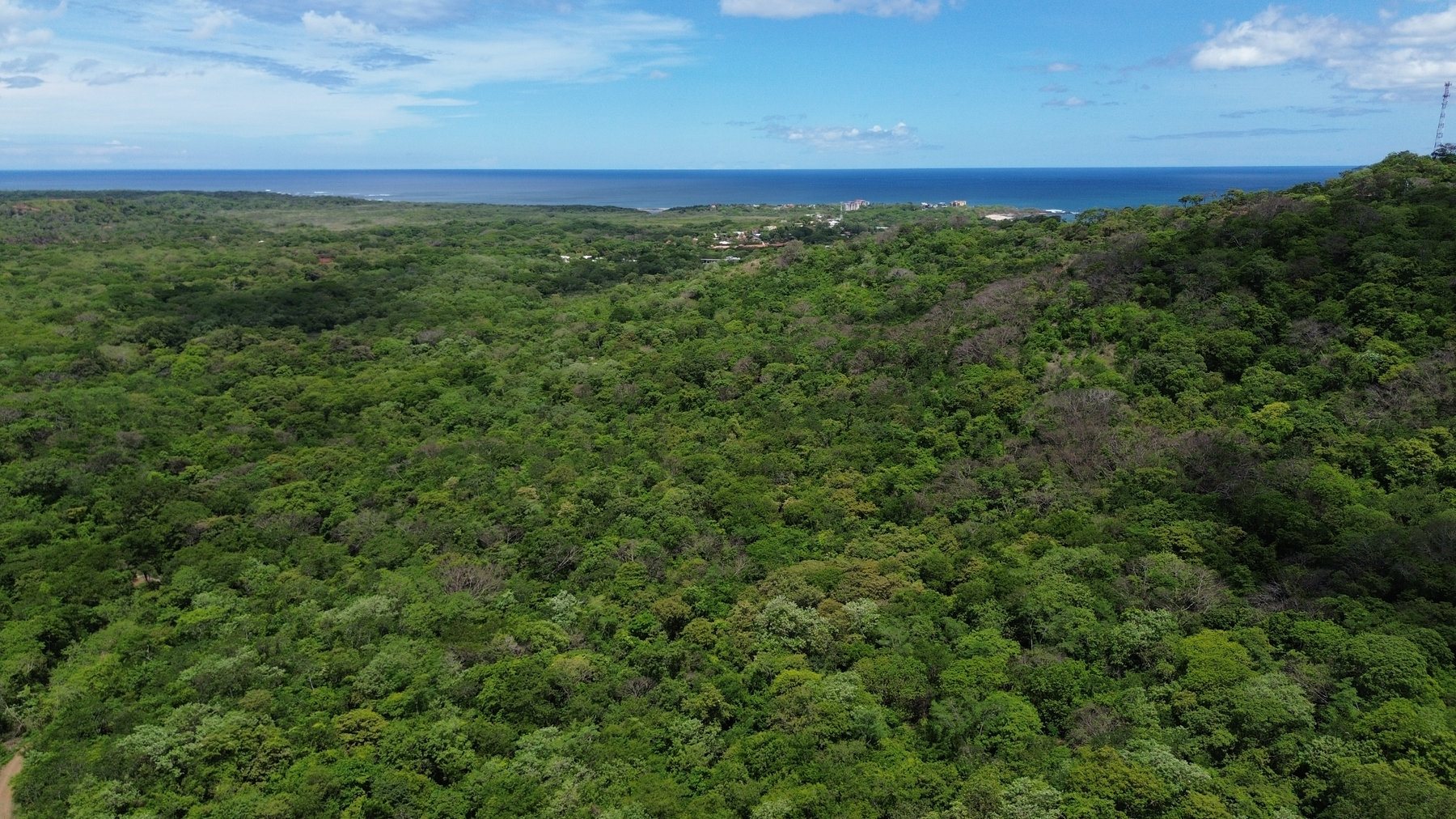 Tamarindo 5 Hectare Lot - 12