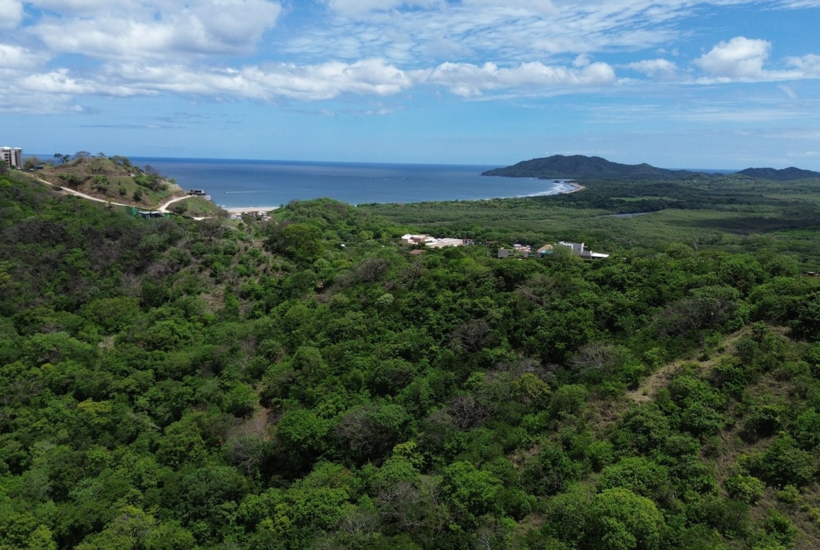 Tamarindo 5 Hectare Lot - 3